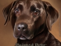 paintedpetz_chocolate_lab